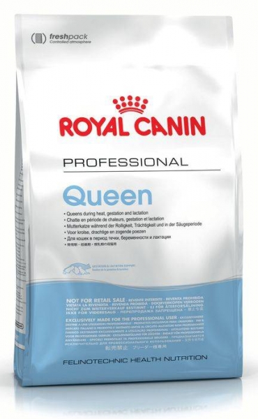 Royal Canin для беременных и лактирующих кошек, Queen