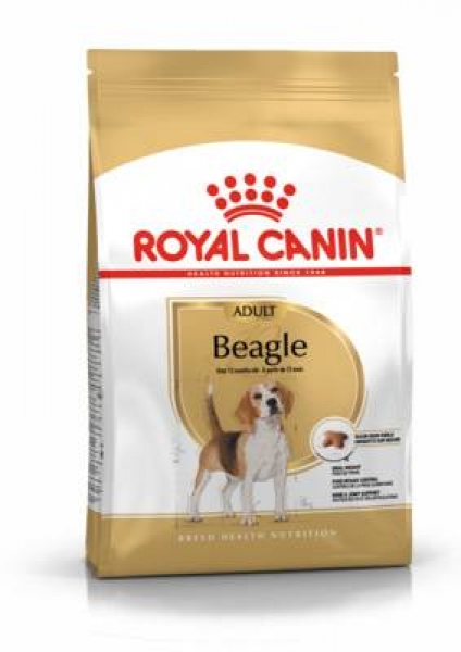 Royal Canin сухой корм для собак породы бигль с 12 месяцев