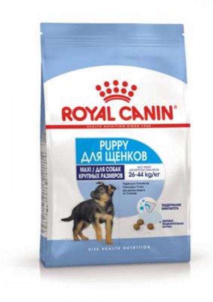 Royal Canin MAXI PUPPY сухой корм для щенков крупных пород от 2 до 15 месяцев.